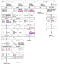 Новая версия схема смены владельцев Тетрадей смерти с расширенными причинами передачи тетрадей и улучшенной хронологией