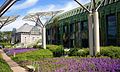 Library Garden