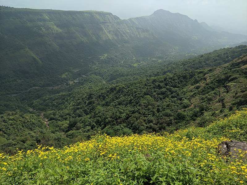 File:Alexander Point Matheran.jpg