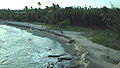 Black sands at a beach near Vattakottai Fort