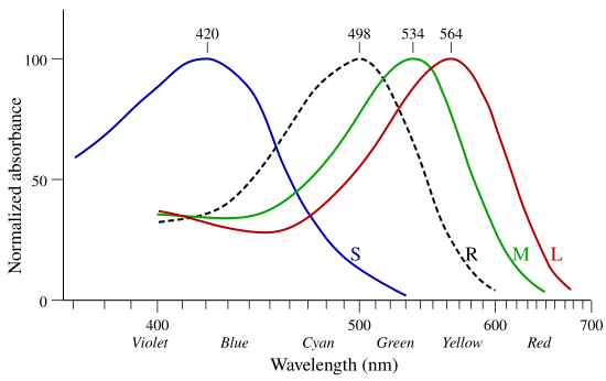 Файл:Cone-absorbance-en.svg