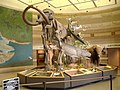 Interpretive Center Lobby