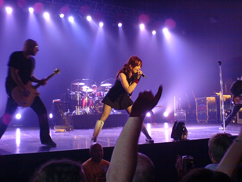 Файл:Garbage-2005-Copenhagen-3.jpg