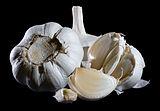 Garlic bulbs and cloves