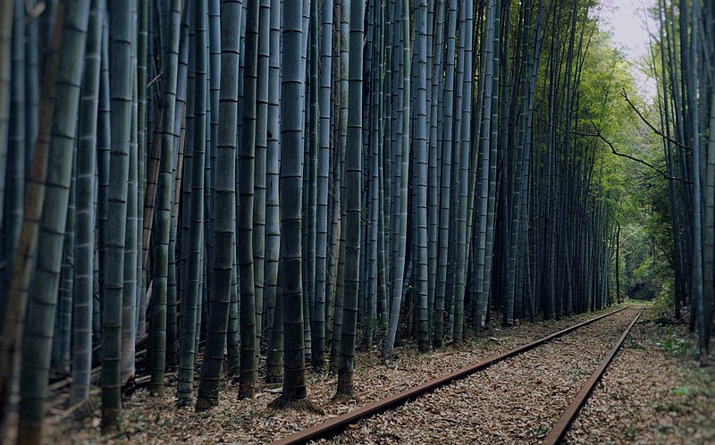 File:The abandoned Kurayoshi Line.jpg