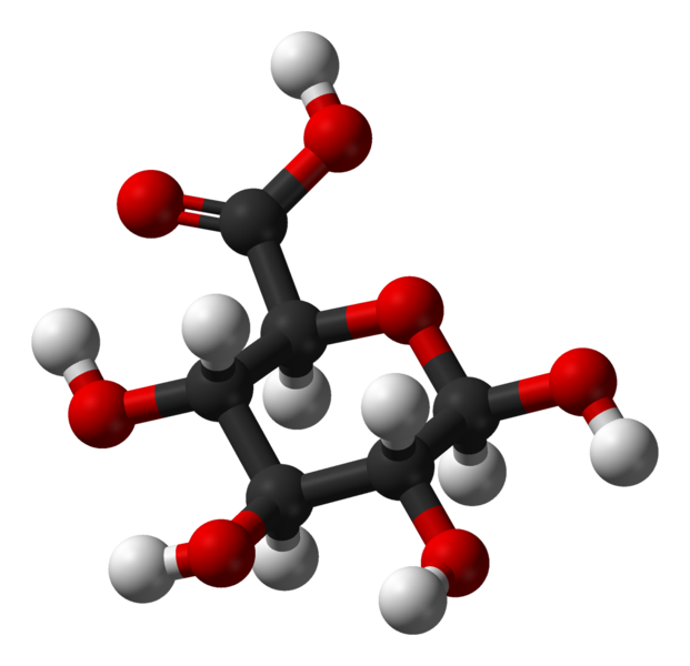 File:Beta-D-glucuronic-acid-3D-balls.png