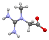 Ball and stick model of creatine