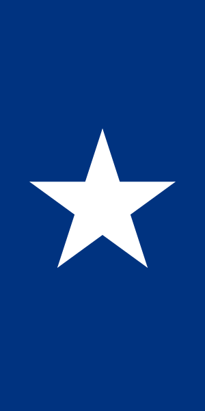 File:Fin Flash of Chile.svg