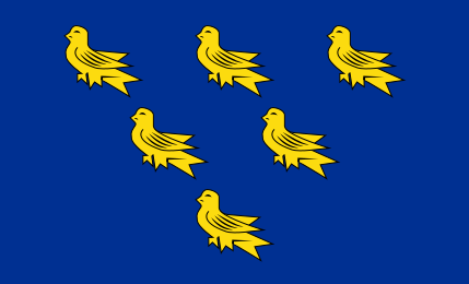 Файл:Flag of Sussex.svg