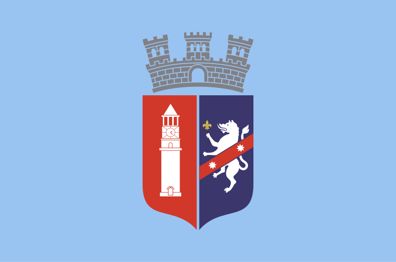 Archivo:Flag of Tirana.svg