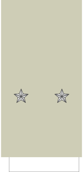 Файл:France-Army-OF-6 Sleeve.svg