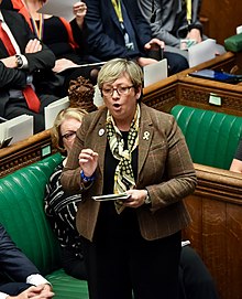 Joanna Cherry standing to debate in the House of Commons