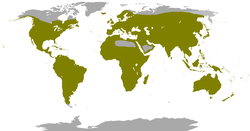 Distribución de las colúmbidas