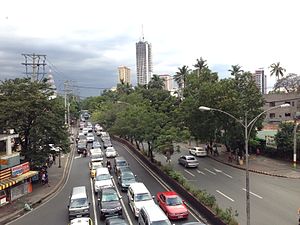 Quirino Avenue.jpg