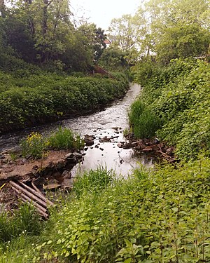 River in Worms after storm.