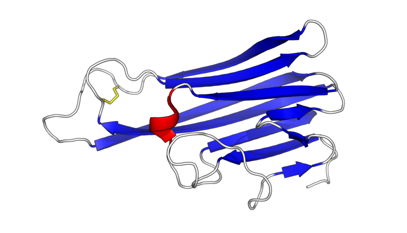 File:TNFMonomer.png