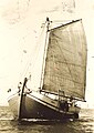 Old photo of "Roditelj" with a gaff rigging