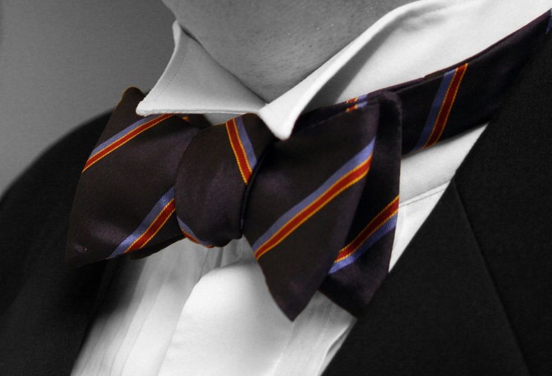 File:Bow-tie-colour-isolated.jpg