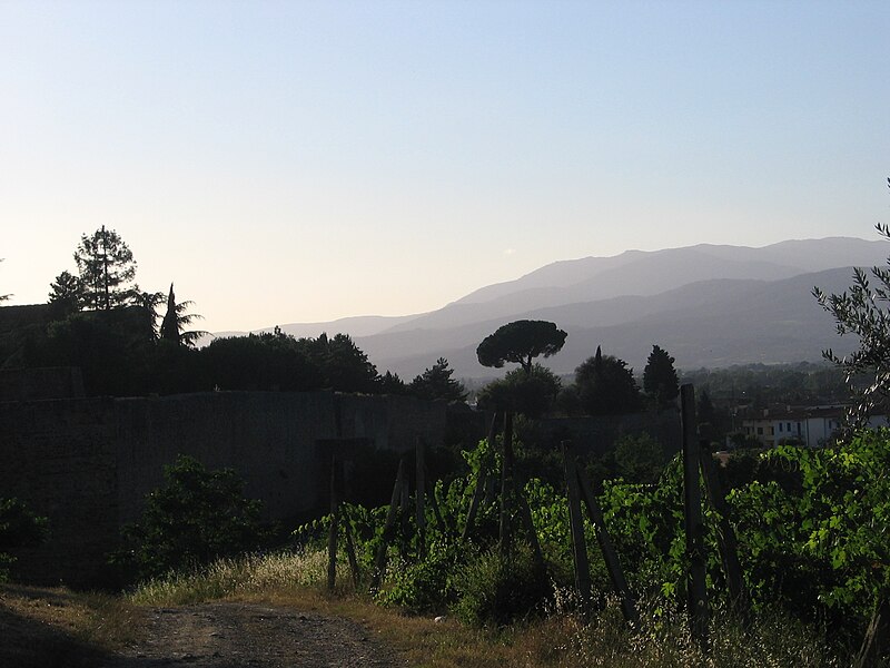 File:Countryside arezzo.JPG