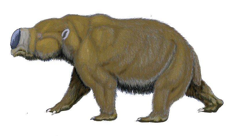 File:Diprotodon optatum (2).jpg