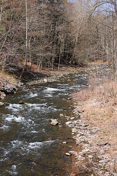 File:Hunlock Creek looking upstream.JPG