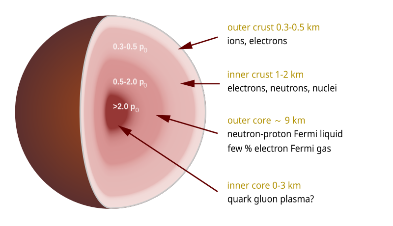 File:Neutron star cross section.svg