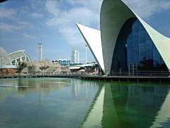 L'Oceanogràfic. Diseño estructural: Alberto Domingo y Carlos Lázaro