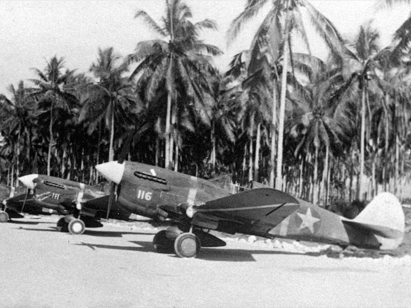 File:P-40-flightline-201024.jpg