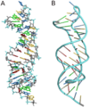 NMR structure (same area; incomplete match)