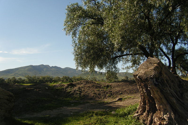 Archivo:Sierra de Tepotzotlán.JPG