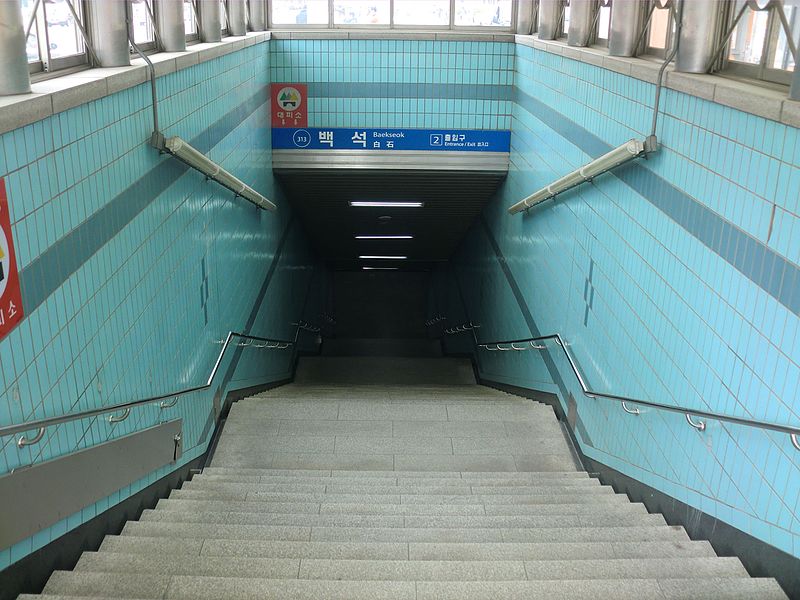 File:Baekseok Station 2.JPG