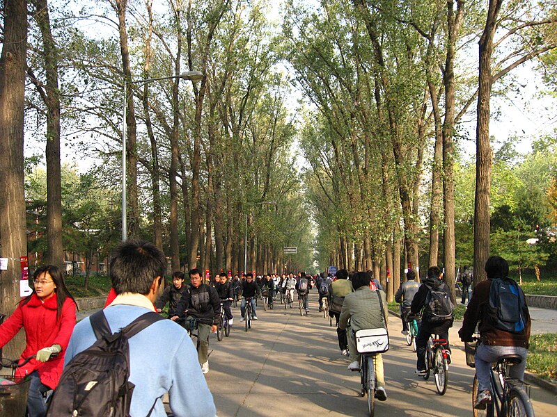 File:Crowd in Tsinghua University.jpg