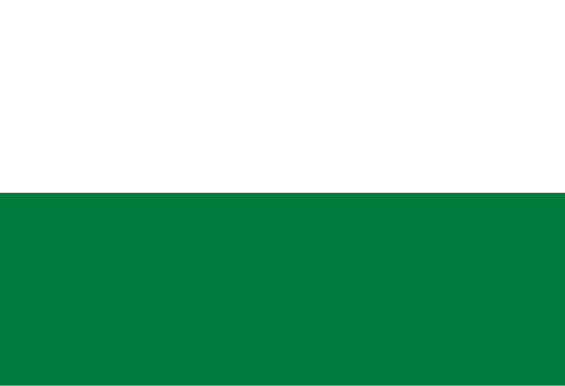 Файл:Flag of Pando.svg