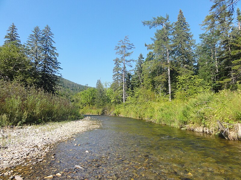 Archivo:Ikha River, Khabarovsk Krai.jpg