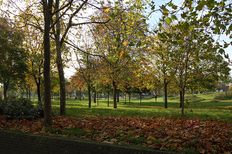 File:MileEnd Park.JPG