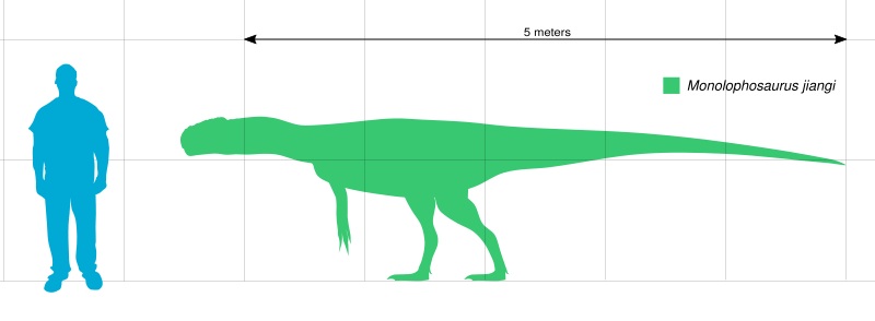 File:Monolophosaurus Scale.svg