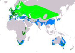 Distribución de Podiceps cristatus.