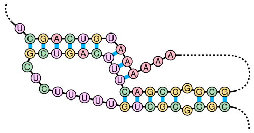 Archivo:Pseudoknot.svg