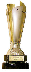 The Slovak Cup