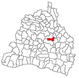 Location in Dolj County