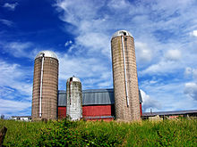 Allegany Township silos.jpg