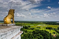 Dhauli hillock