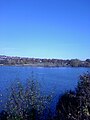 View from the banks of Elsecar Reservoir.