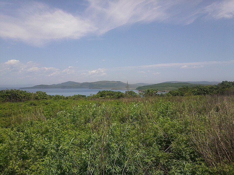 Файл:Landscape of Reyneke Island.jpg