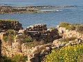 North Israeli coastal plain,  Israel