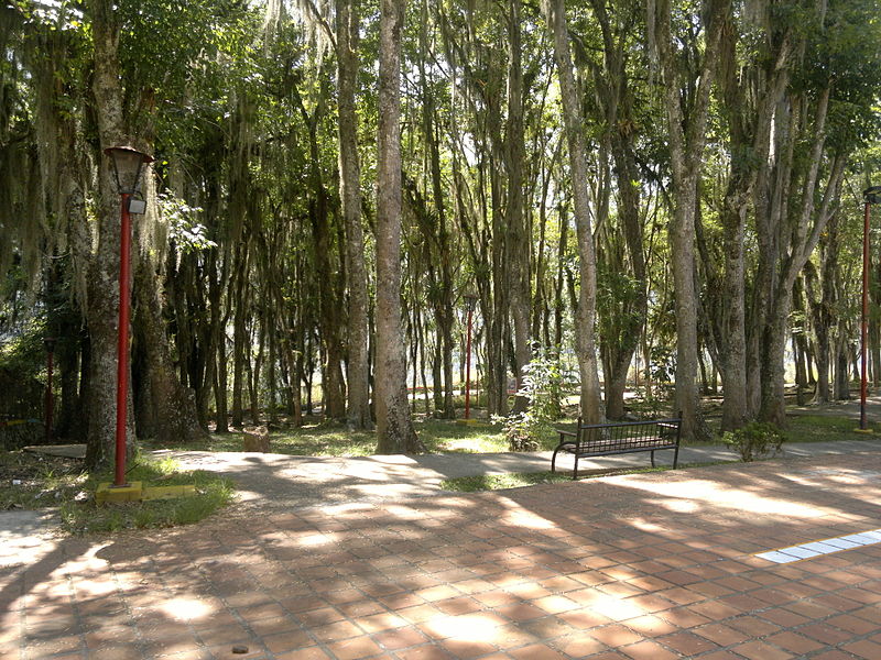 File:Paseo en Mérida.jpg