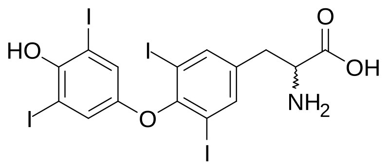 File:Thyroxine.svg