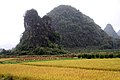 Farming between karst peaks