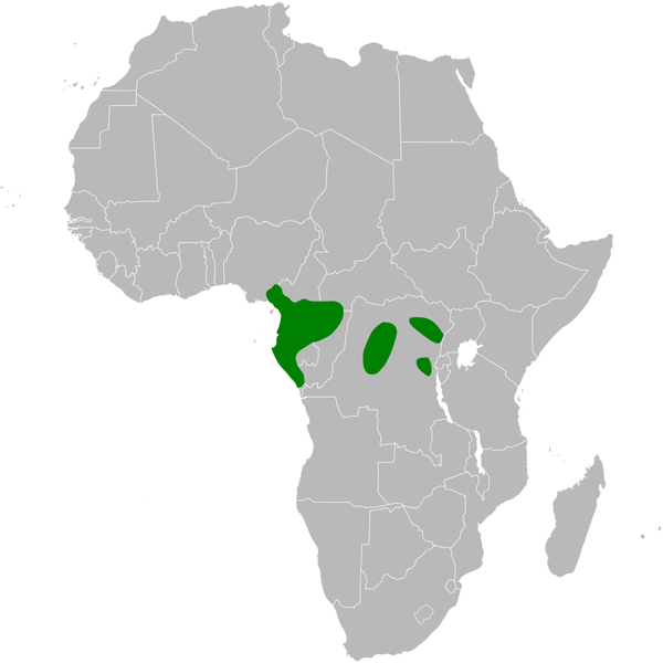 File:Baeopogon clamans distribution map.png