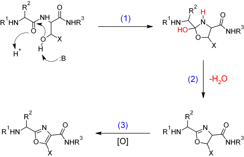 File:Biosynthesis of oxazole.png